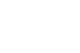 BLS International Logo